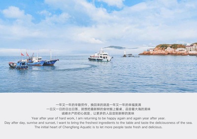 寧波得邦設計 一站式品牌全案策劃與設計的專業(yè)伙伴
